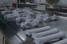 Complexo de Anatomia Veterinária do UNIESP adquire maior acervo didático de biomodelos 3D da Paraíba